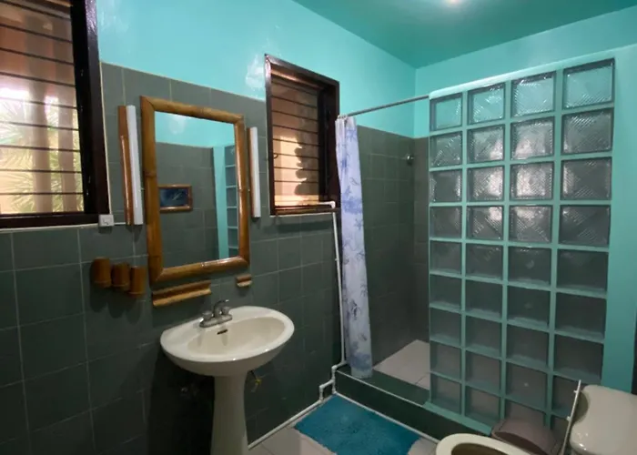 Resort Ravenala Moalboal