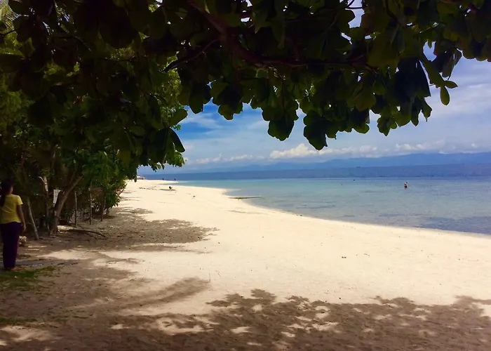 Ravenala Resort Moalboal